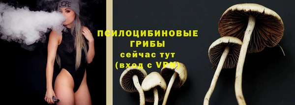 прущие крисы Армянск