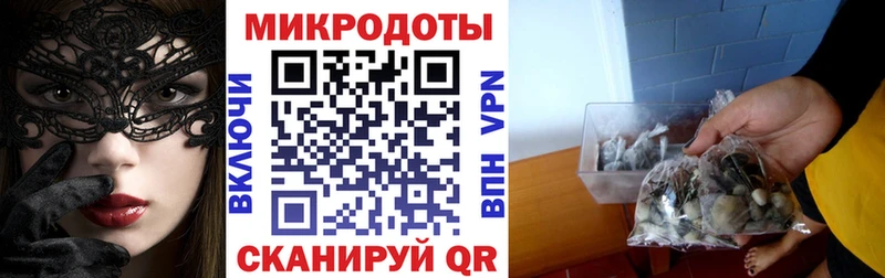 Галлюциногенные грибы GOLDEN TEACHER Пошехонье